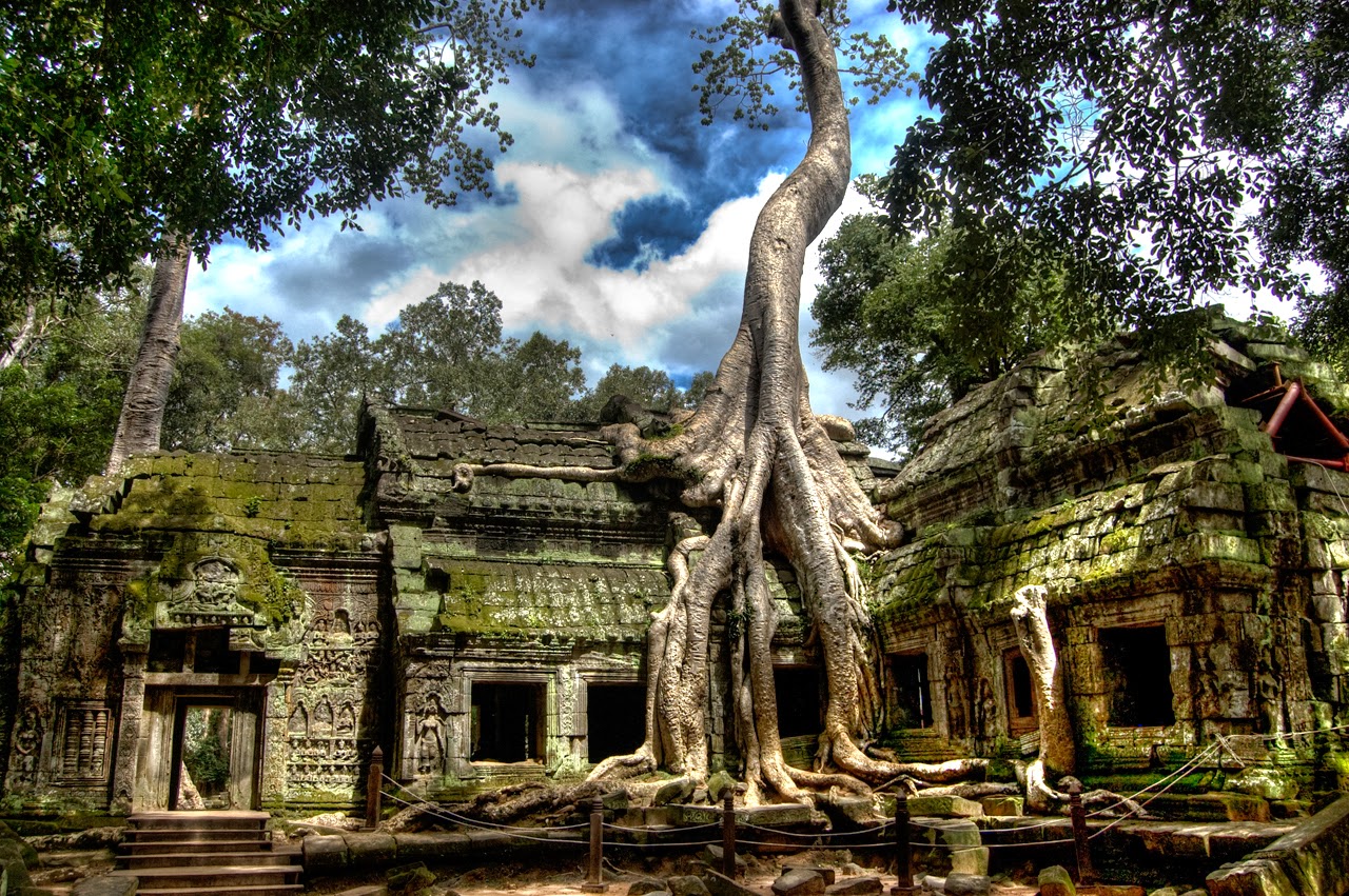 angkor wat temple