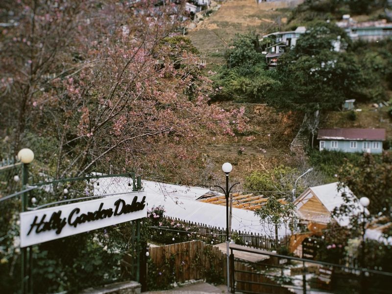 dalat restaurant