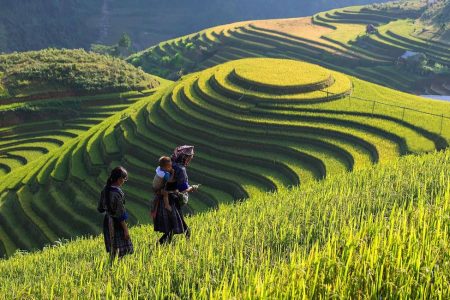 Vietnam Special – Best trekking in Sapa