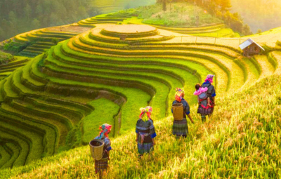 cruises in vietnam - cambodia
