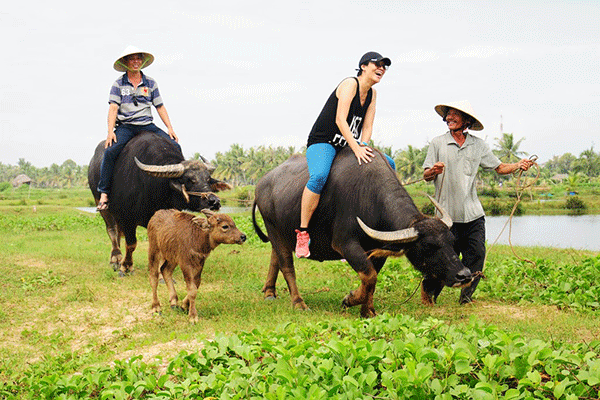 danang my son tour