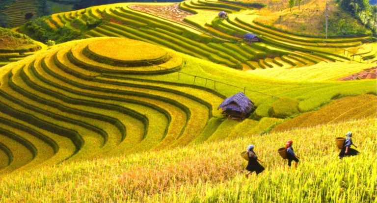 best time to visit ha giang