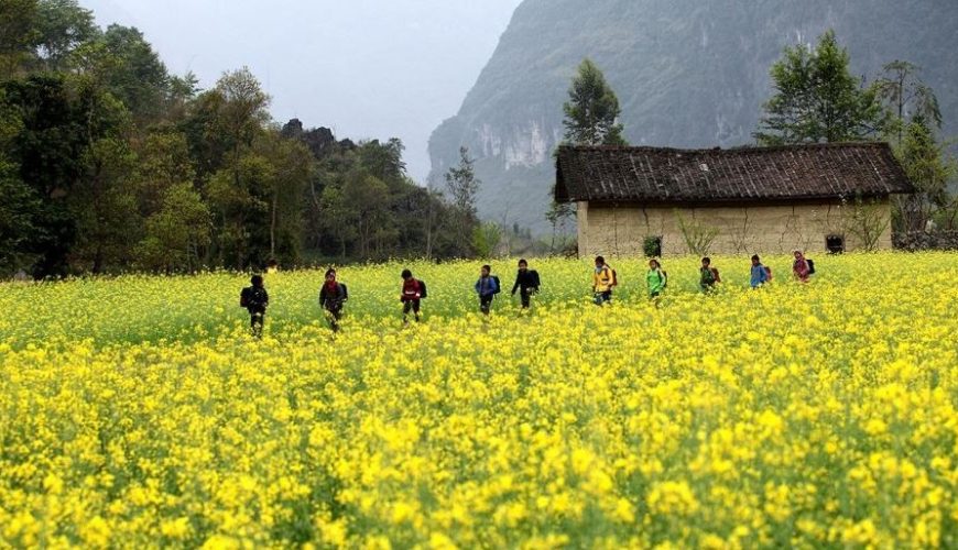 Ha Giang Trekking: The Best Routes To Explore For Backpackers 2025