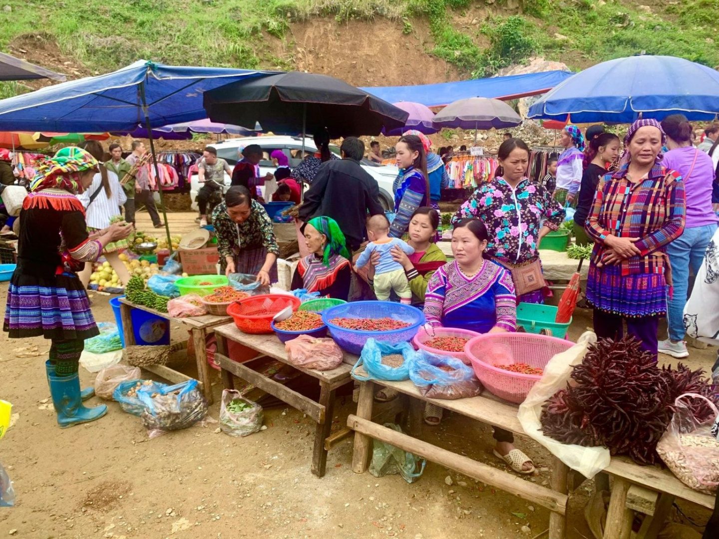 ha giang motorbike tour