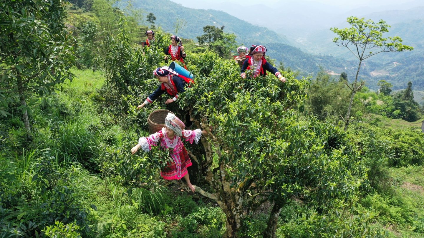 ha giang motorbike tour