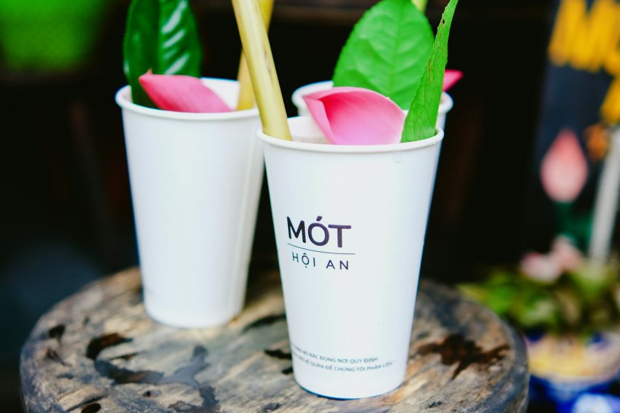 Vietnamese Culture & Cuisines