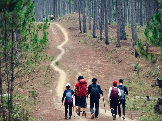 things to do in dalat