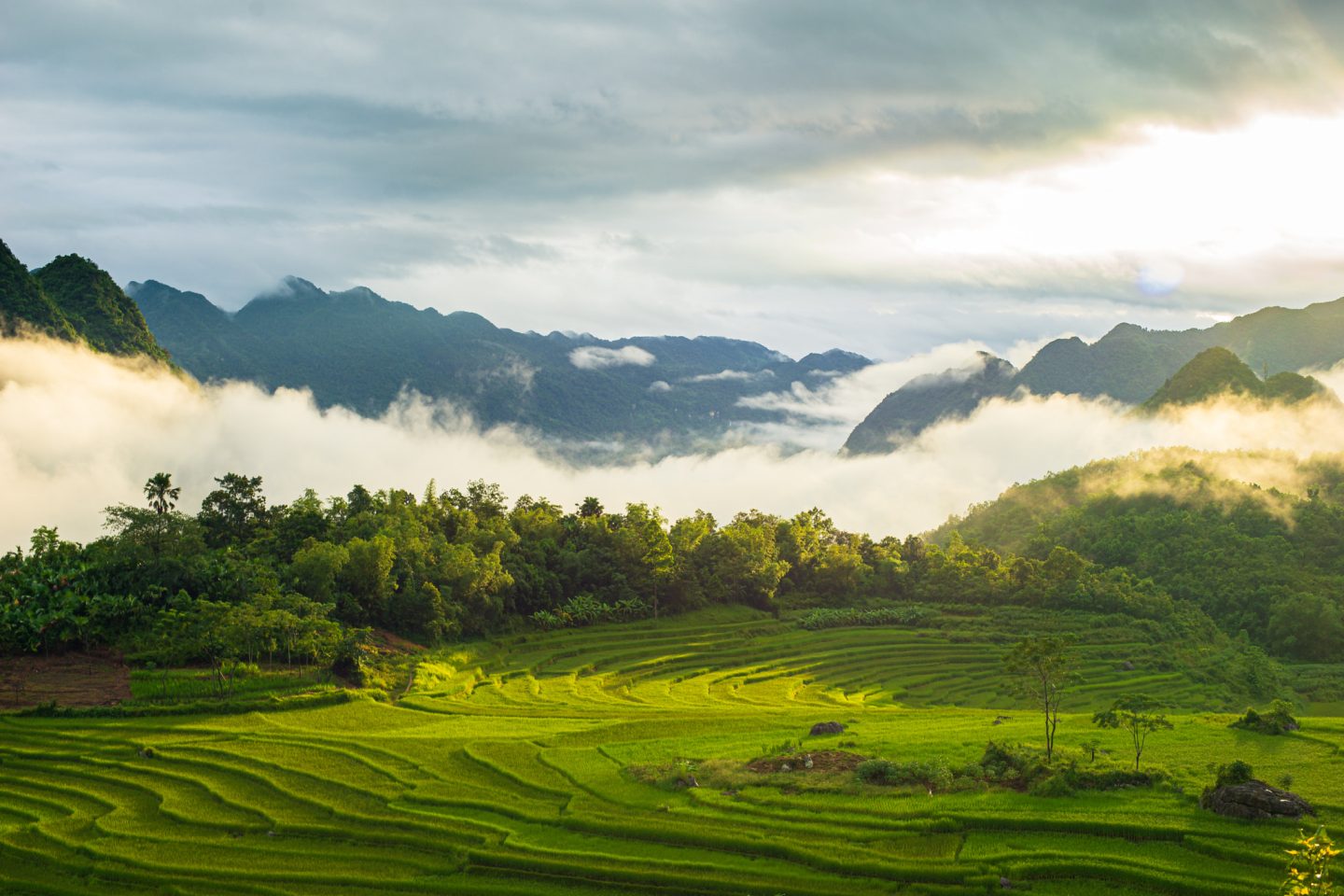 Pu Luong Retreat Best Travel Experience 2025