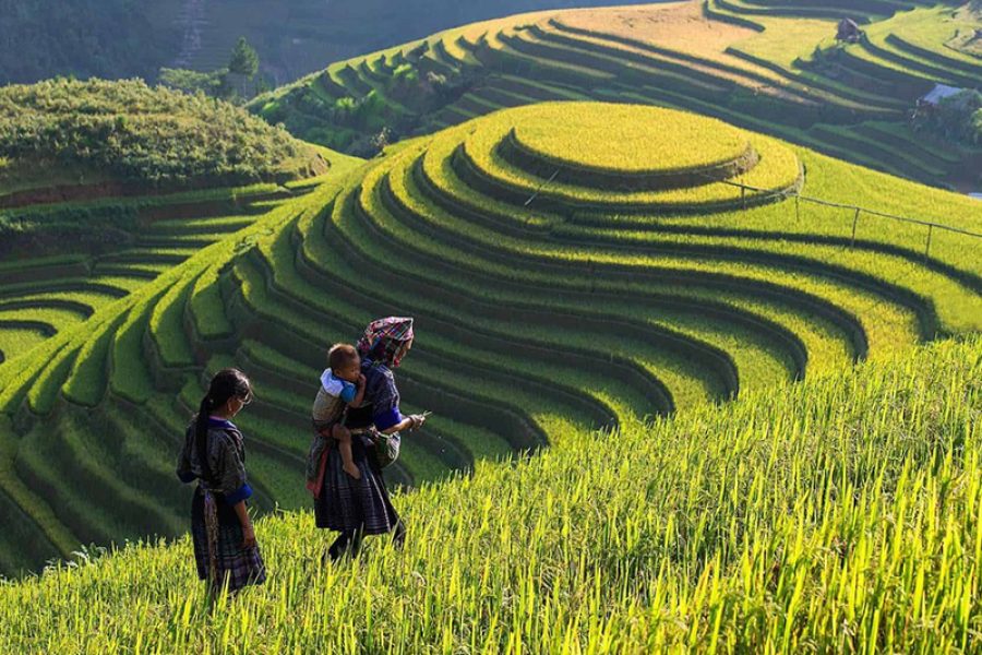 14-Day Vietnam Trekking Tour: Culture & Adventure