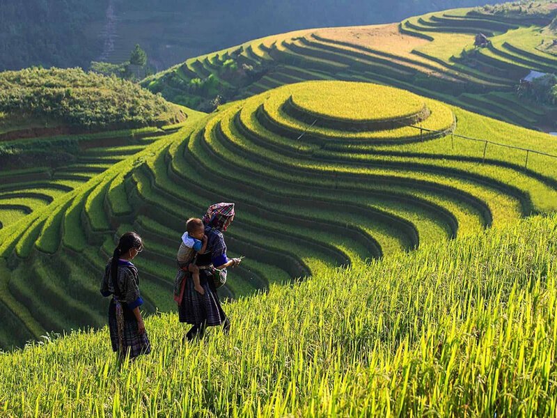 Day 3: Hanoi - Sapa - Easy trekking to Cat Cat Village
