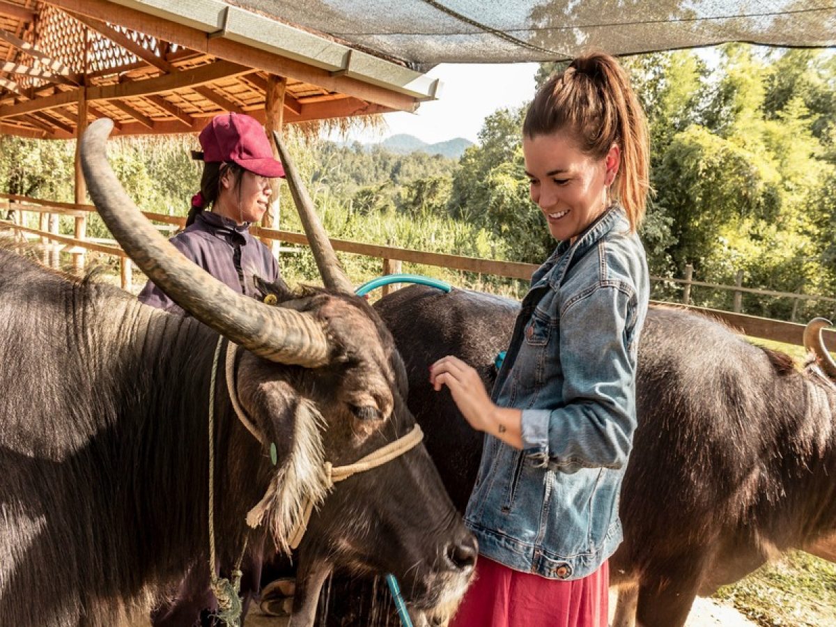 Unforgettable Luang Prabang Family Adventure 7-Day