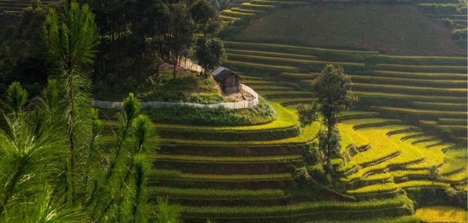 La-Pan-Tan-Traditional-Hmong-House