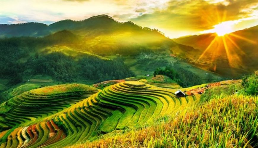 Mu Cang Chai Tour 2025: Exploring Tthe Majestic Rice Terraces