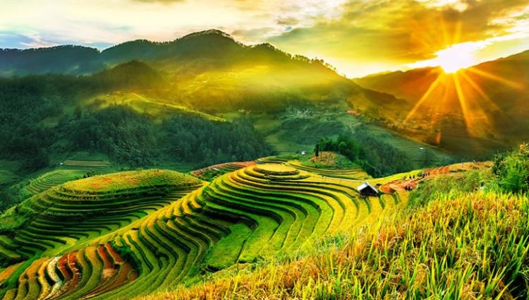 Mu Cang Chai Tour 2025: Exploring Tthe Majestic Rice Terraces