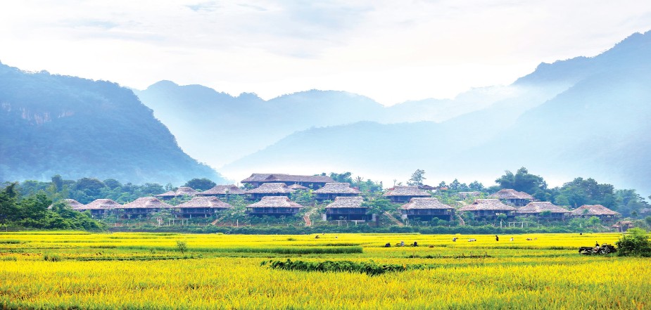The-Best-Time-To-Travel-To-Mai-Chau