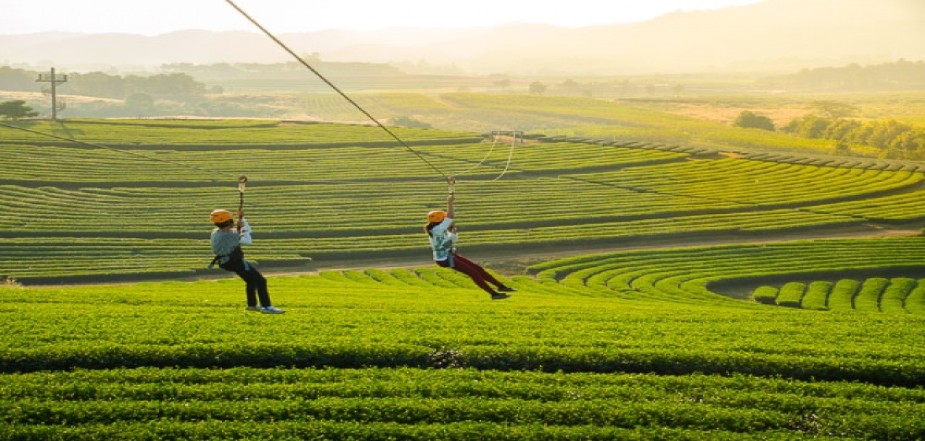 Zipline-at-Singha-Park-Chiang-Rai-Province