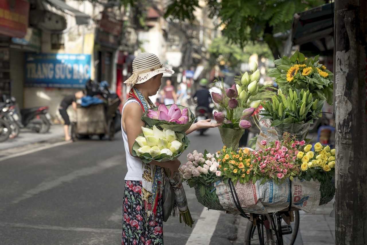 The Best Vietnam Itinerary North To South 2025