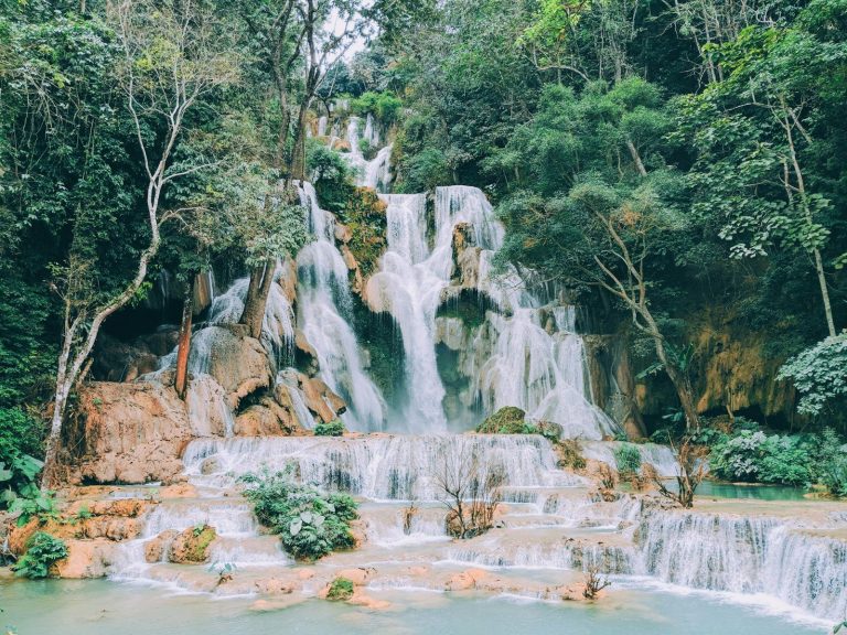 waterfalls in the middle of the forest during daytime