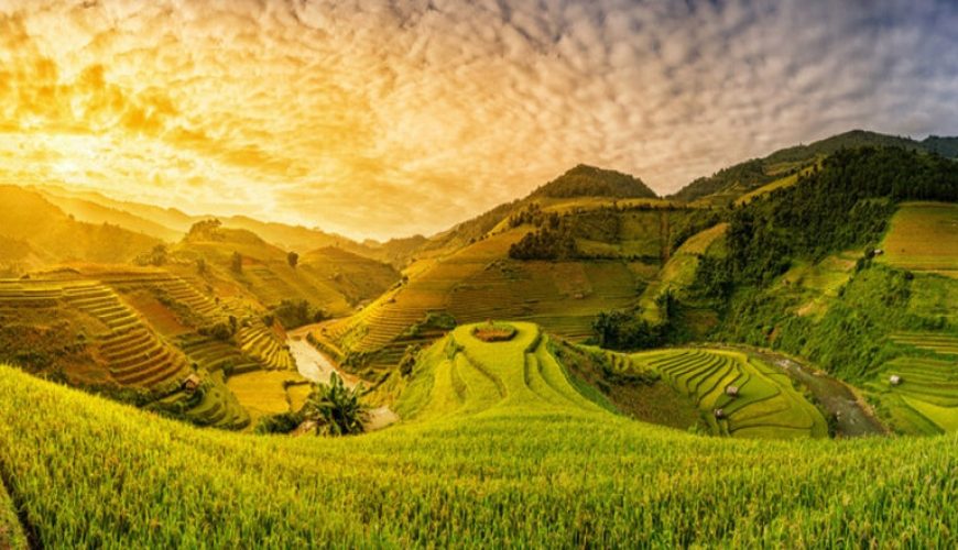The Northern Vietnam