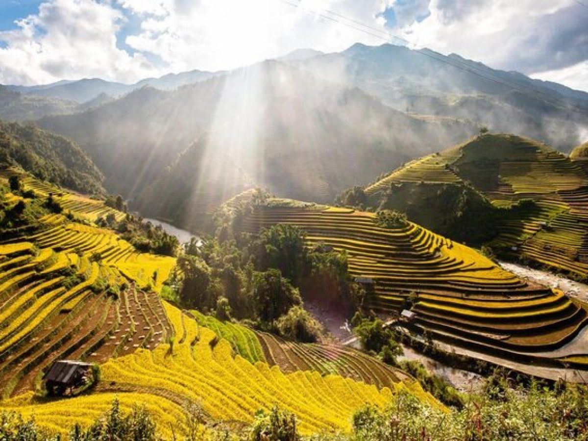 Mu Cang Chai
