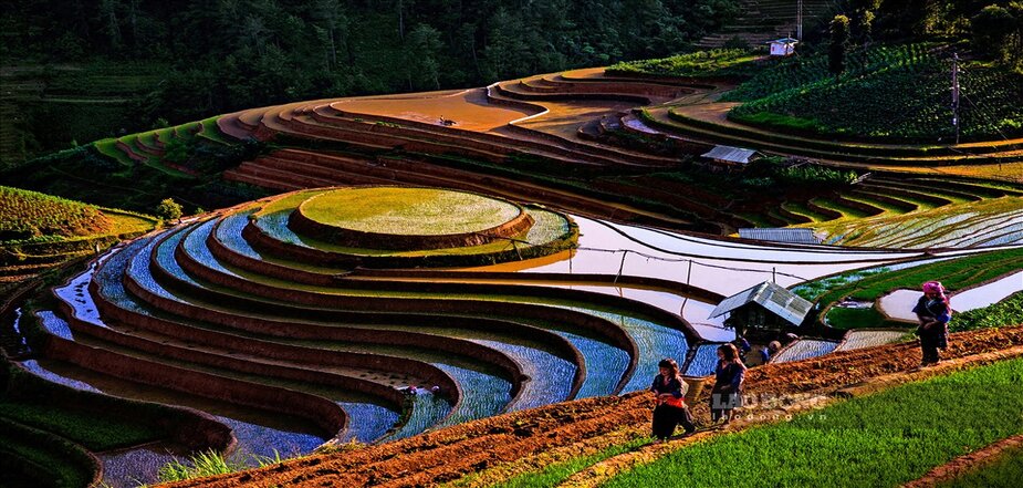 Mu Cang Chai 