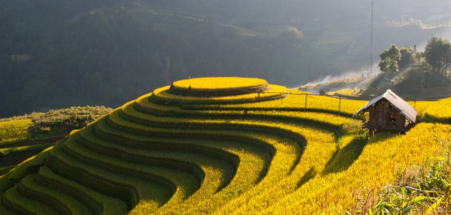 Mu Cang Chai Terrasse