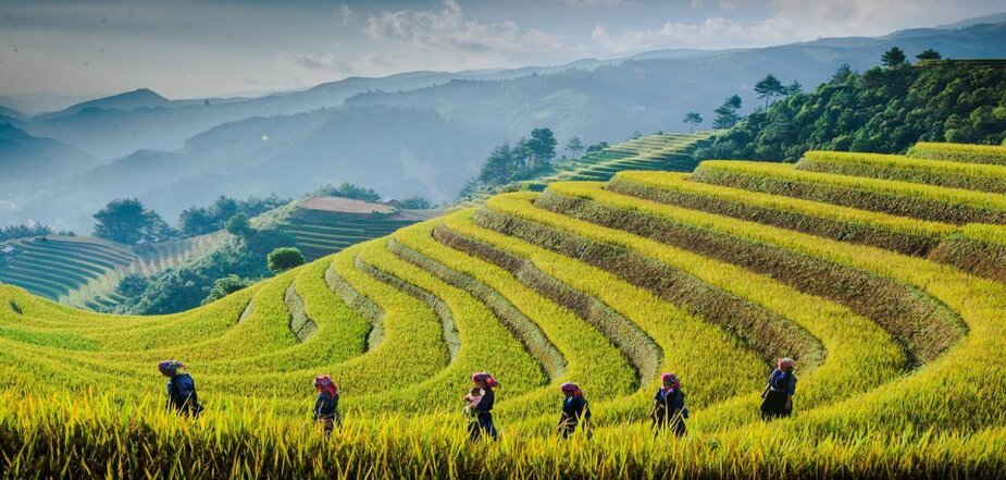 Mu Cang Chai Photography Tour