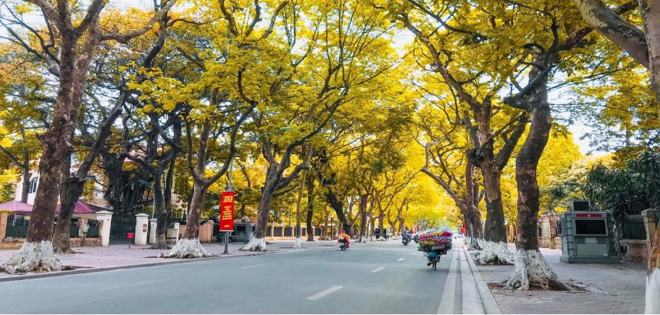 tan-huong-mua-thu-ha-noi