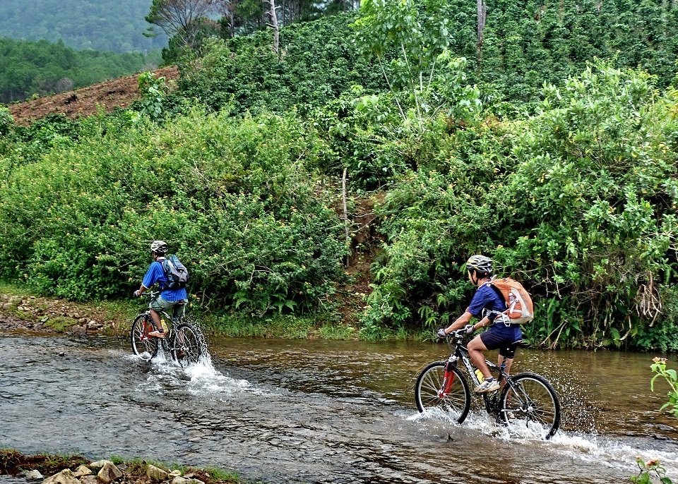 cycling tours