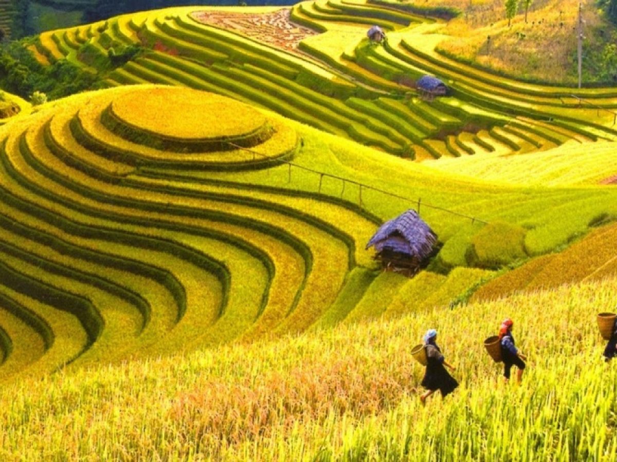 đi-hà-giang-tháng-nào-đẹp-kinh-nghiệm