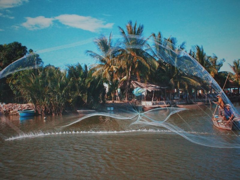 Bay Mau Coconut Forest