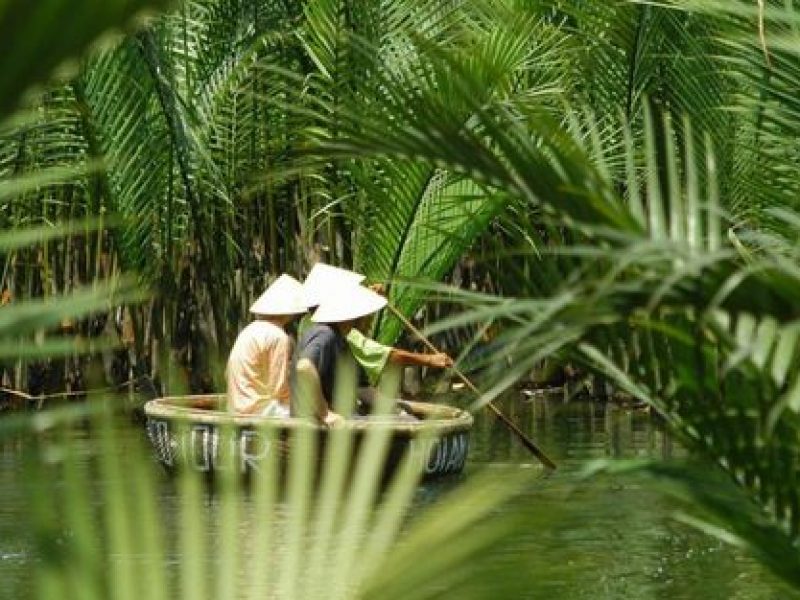 Bay Mau Coconut Forest