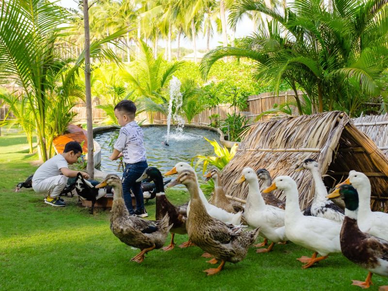 fusion resort phu quoc