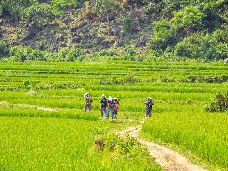 Hiking in Vietnam