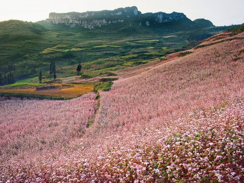 Best time to visit Ha Giang