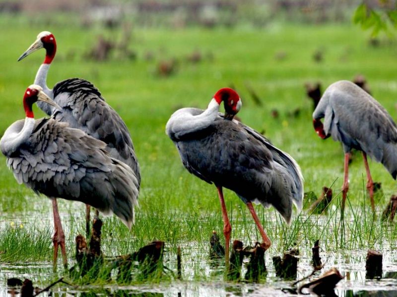 Things to do in Mekong Delta