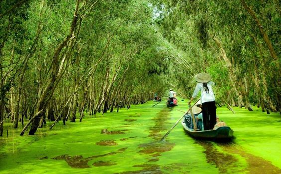 Top 10 Things to do in Mekong Delta for an Epic Adventure