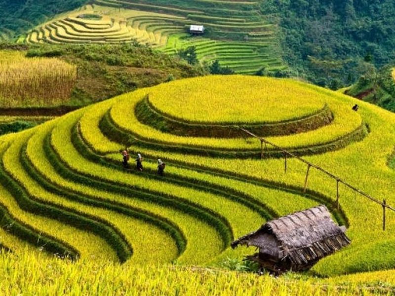 north vietnam motorbike tours