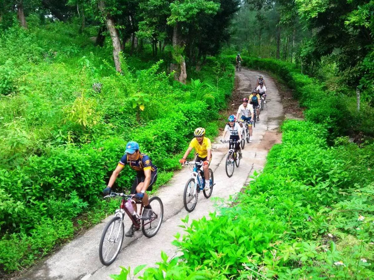 Top 10+ Best Vietnam Cycling Tours (Updated 2025)