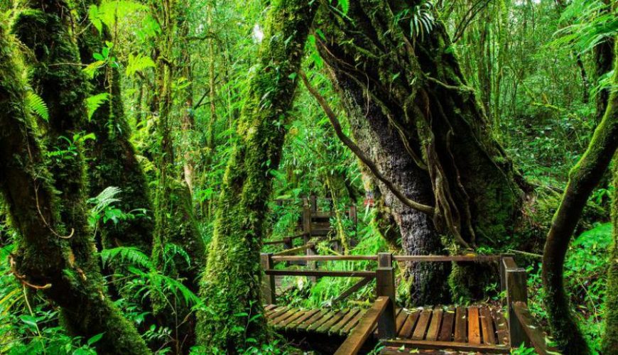 Top 7 Best Places For Chiang Mai Hiking (Updated 2025)