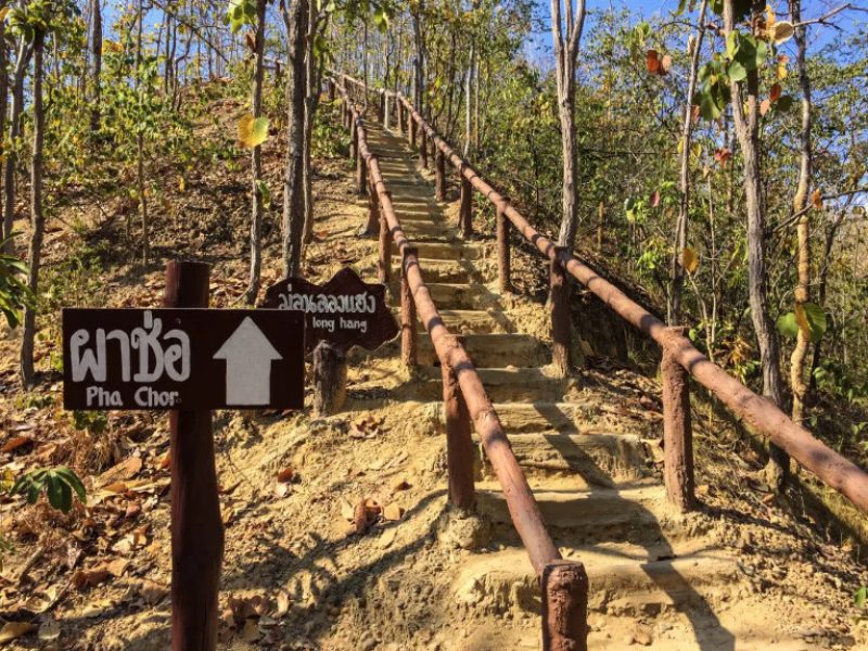 chiang mai trekking tour