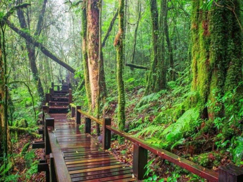 chiang mai trekking tour