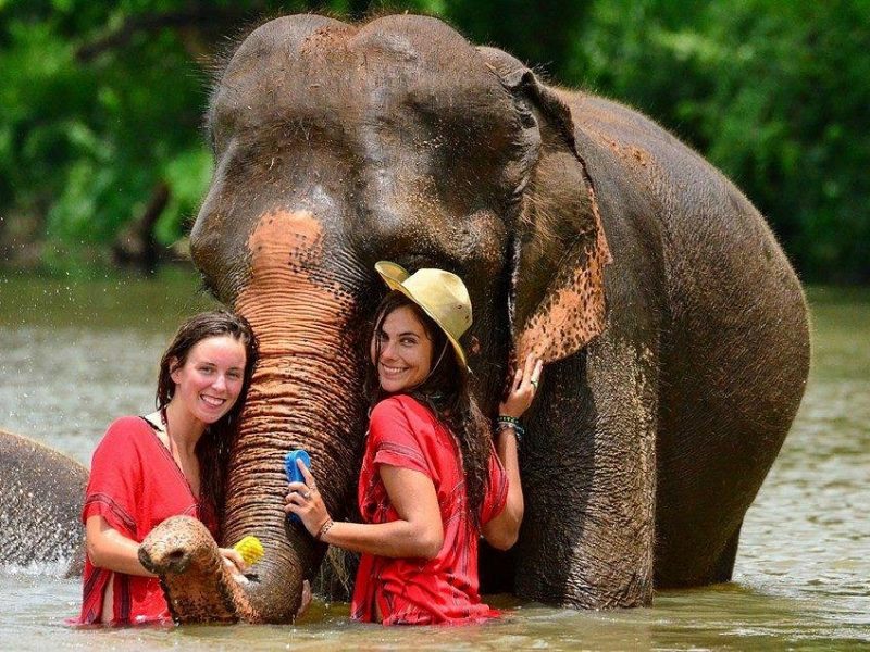 chiang mai trekking tour