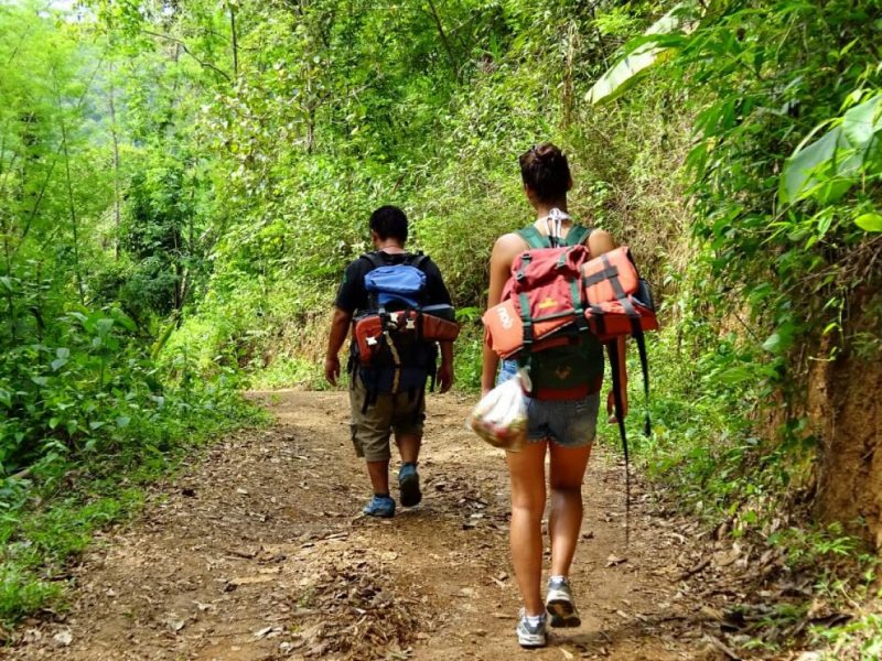 chiang mai trekking tour