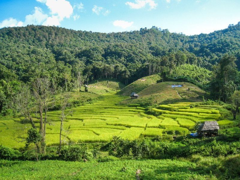chiang mai trekking tour