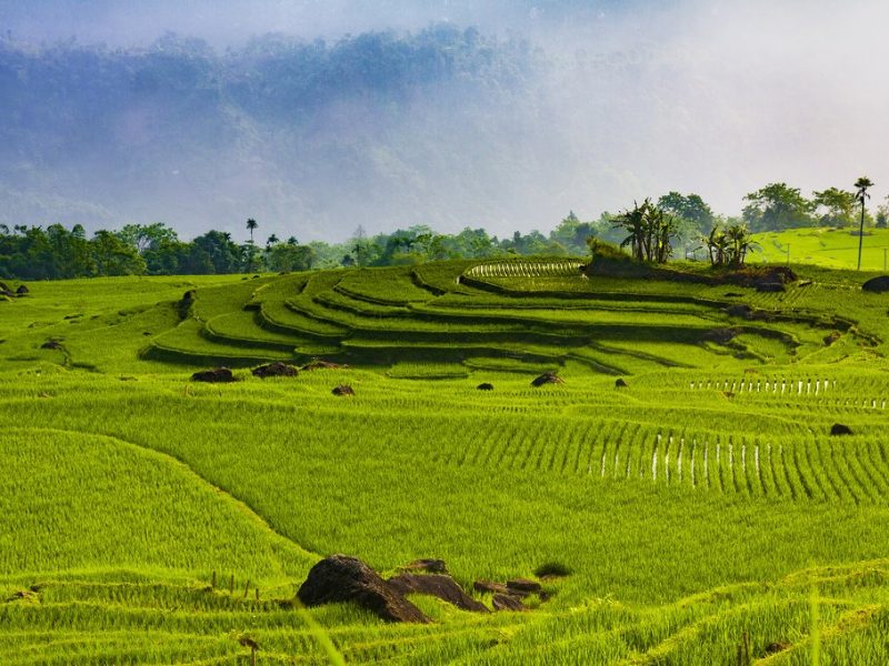 Hiking in Vietnam