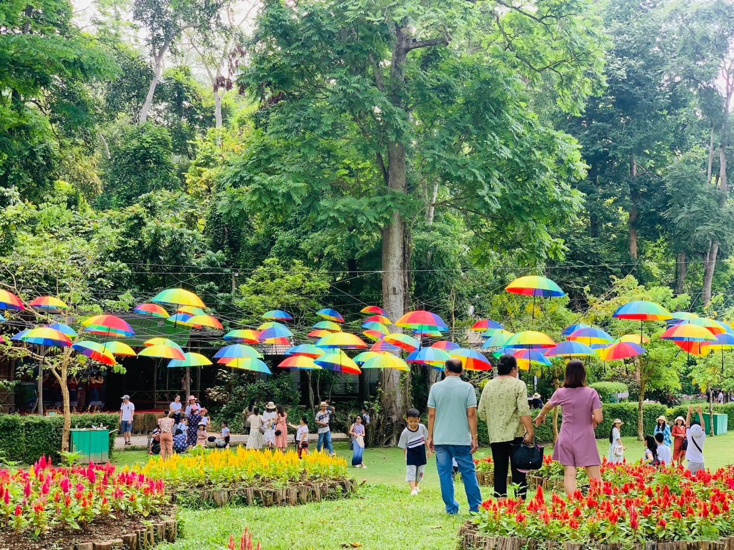 Top 15 Best Things To Do In Luang Prabang, Laos
