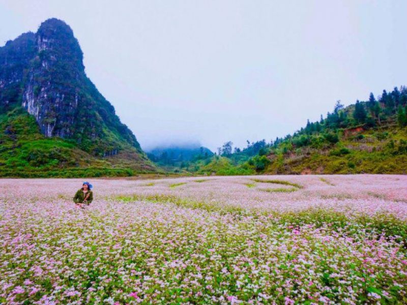 north vietnam motorbike tours