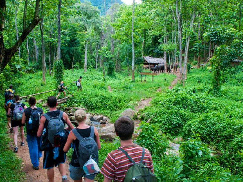 Hiking in Vietnam
