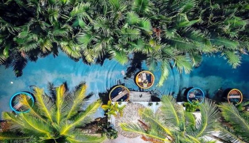Discover The Amazing Beauty Of Bay Mau coconut forest